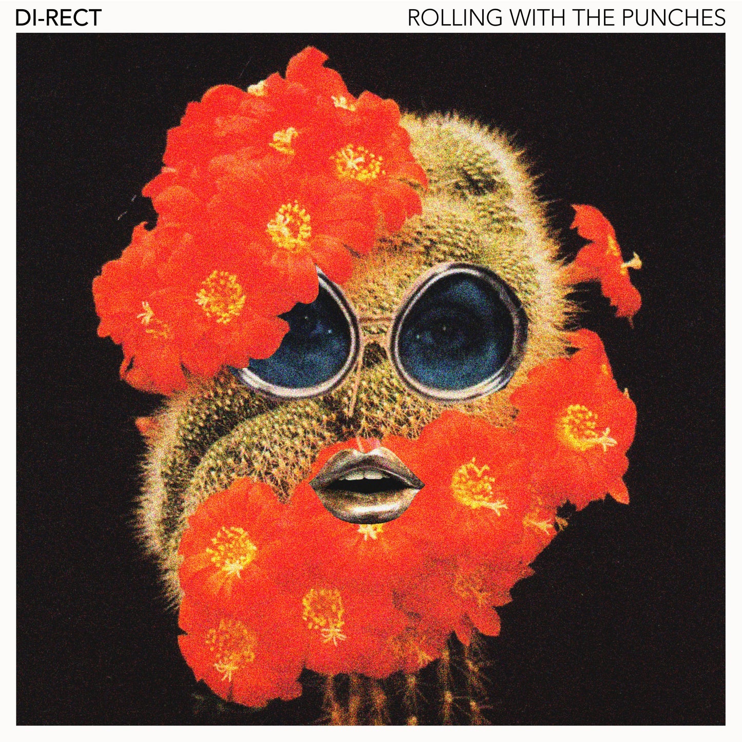 Rolling With The Punches (LP)